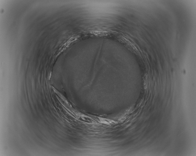 X0000085761298200703301417