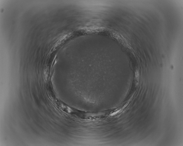 X0000085761300200703301417