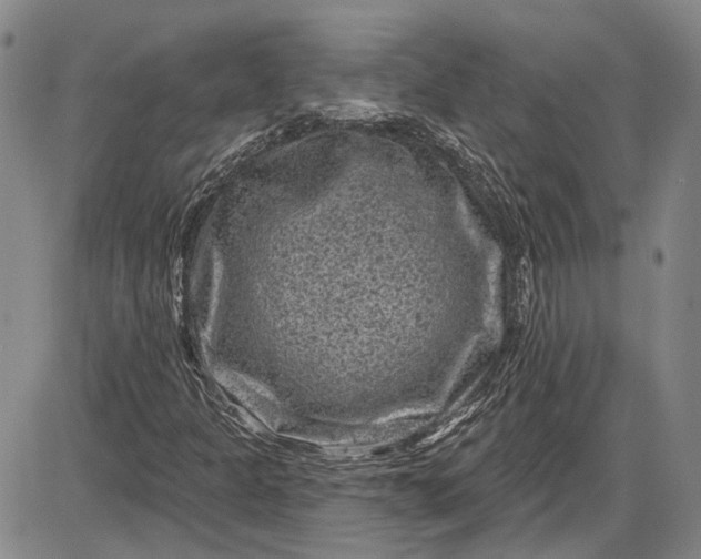 X0000085761301200703301417