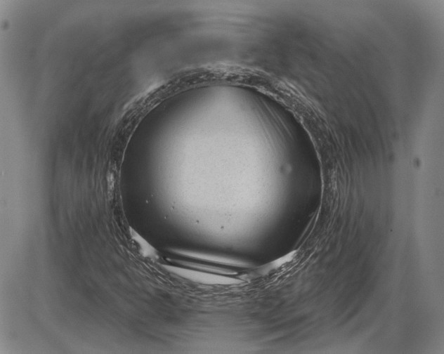 X0000085761302200703301417