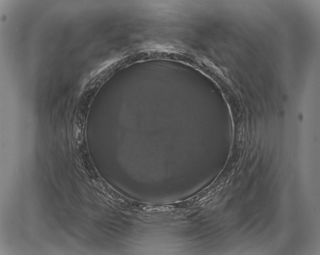 X0000085761303200703301417