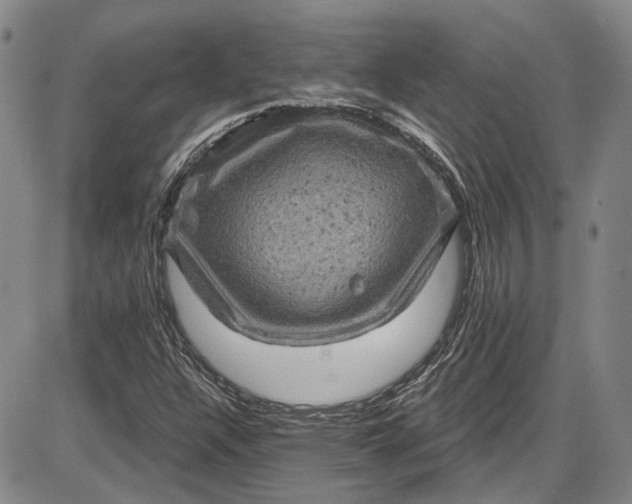 X0000085761304200703301418