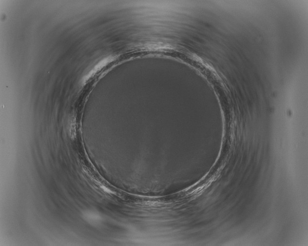 X0000085761306200703301418