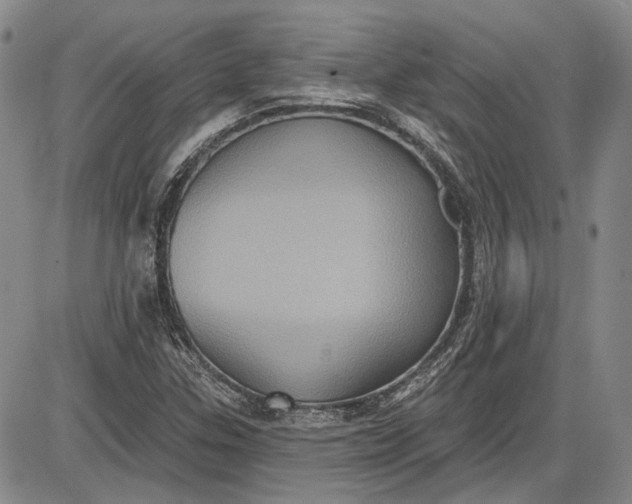 X0000085761307200703301418
