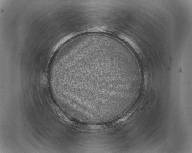 X0000085761308200703301418