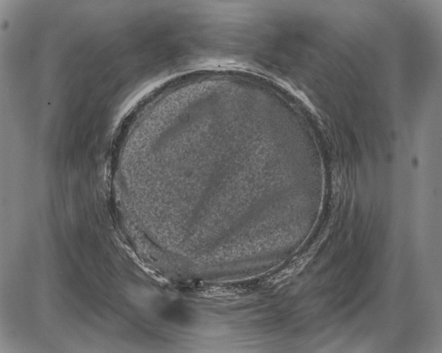 X0000085761311200703301418
