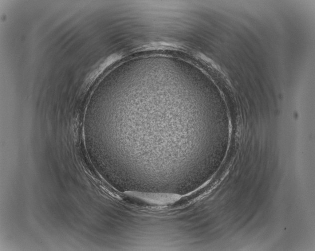 X0000085761313200703301418