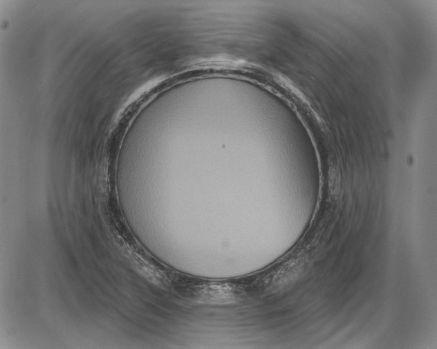 X0000085761315200703301418