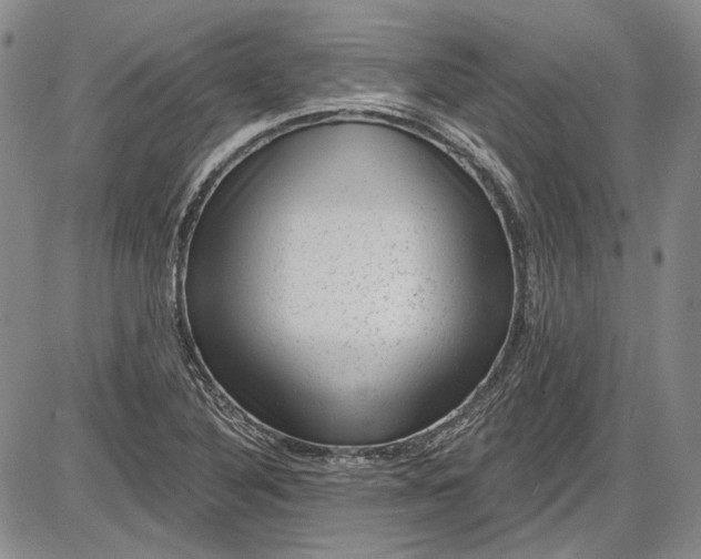 X0000085761316200703301418