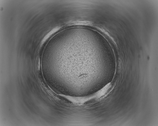 X0000085761317200703301418