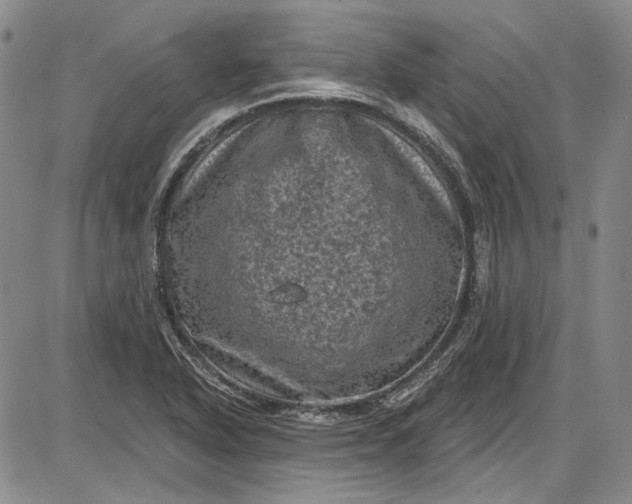X0000085761318200703301418
