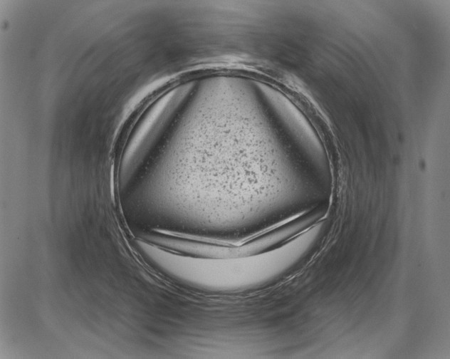 X0000085761320200703301418