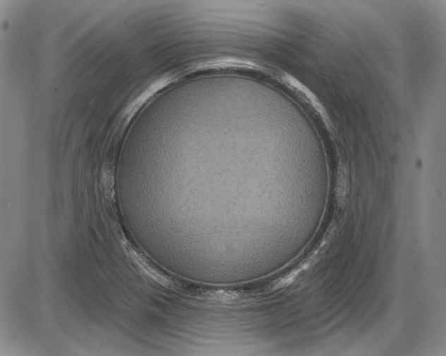 X0000085761321200703301418