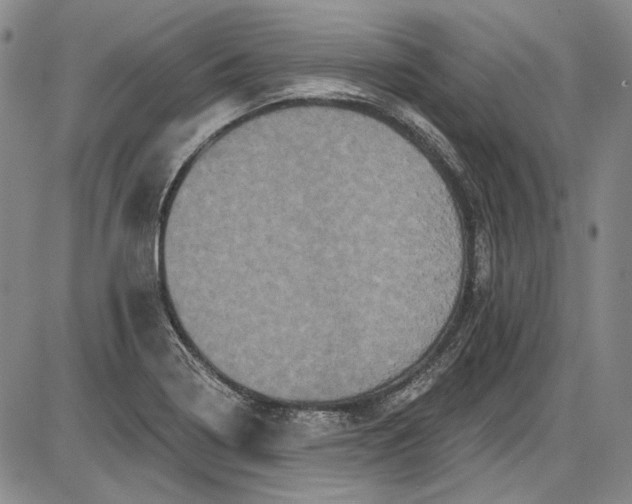 X0000085761322200703301418