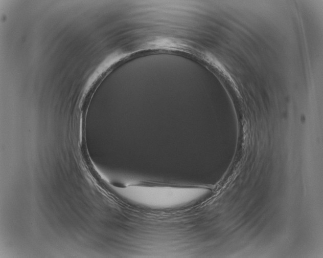 X0000085761323200703301418