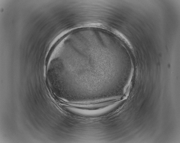 X0000085761324200703301418