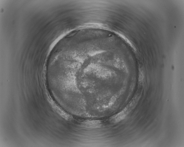 X0000085761325200703301418