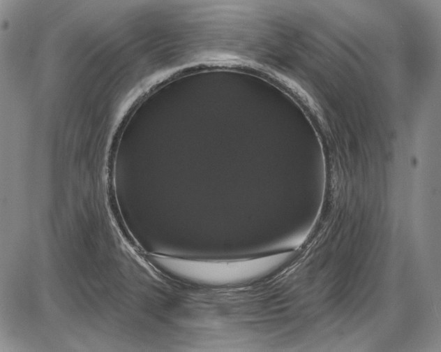 X0000085761327200703301418