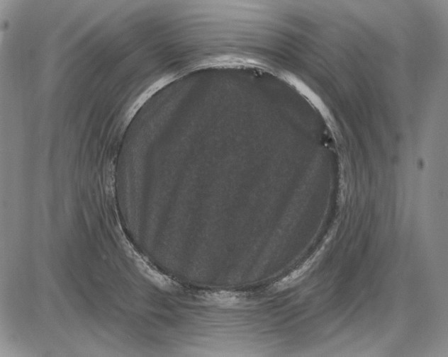 X0000085761329200703301418