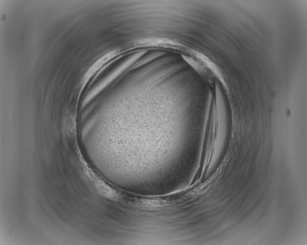 X0000085761330200703301418