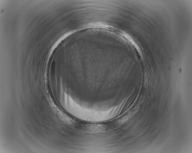 X0000085761331200703301418