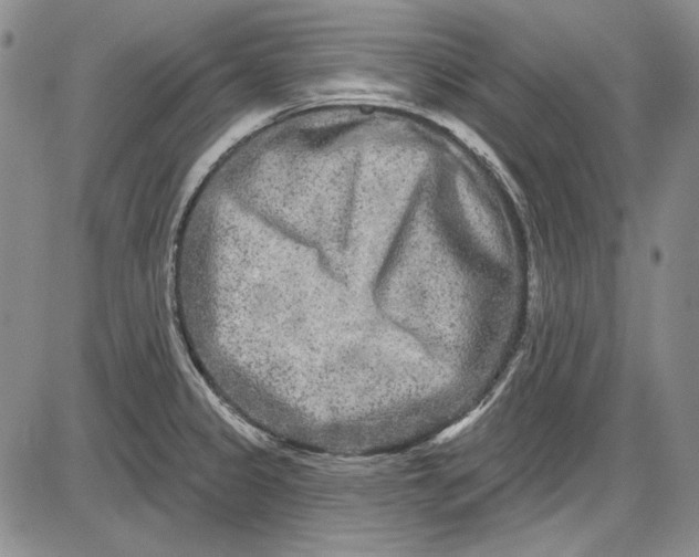 X0000085761333200703301418