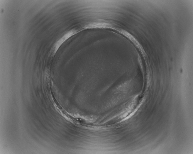 X0000085761337200703301418