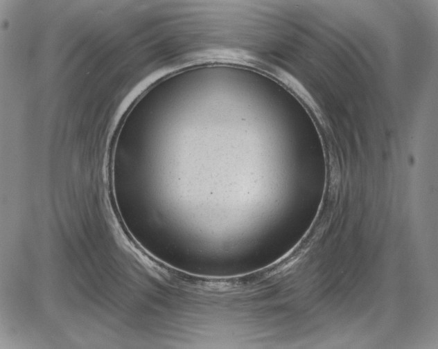 X0000085761339200703301418