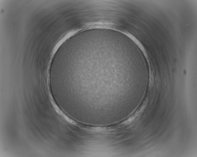 X0000085761341200703301418