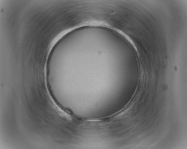 X0000085761343200703301418