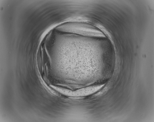 X0000085761344200703301418