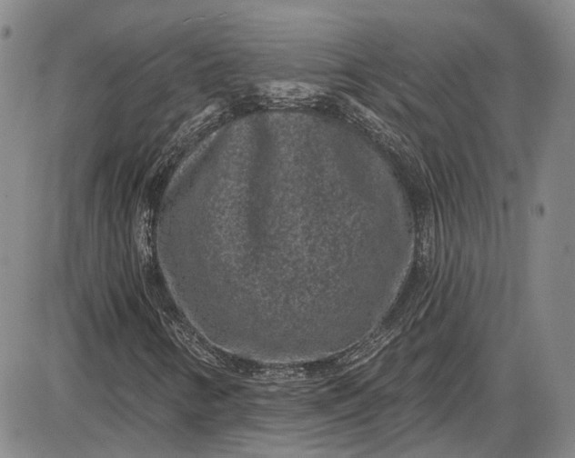 X0000085761346200703301417