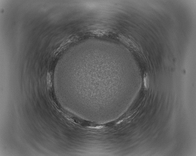 X0000085761347200703301417