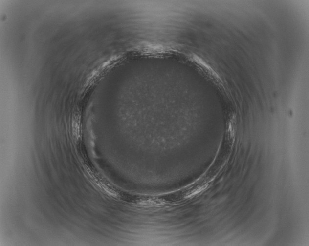 X0000085761348200703301417