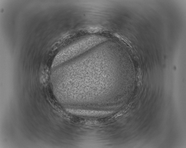 X0000085761349200703301417