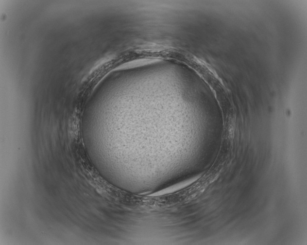 X0000085761350200703301417