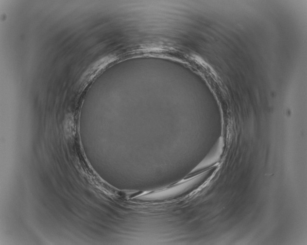 X0000085761353200703301417
