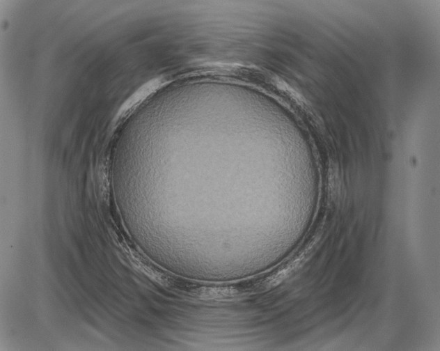 X0000085761354200703301417