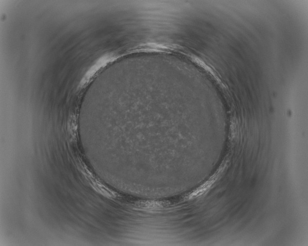 X0000085761355200703301417