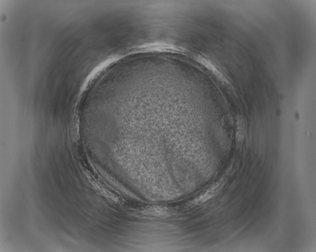 X0000085761358200703301417
