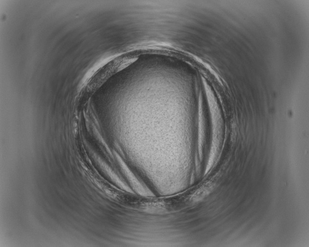 X0000085761363200703301417
