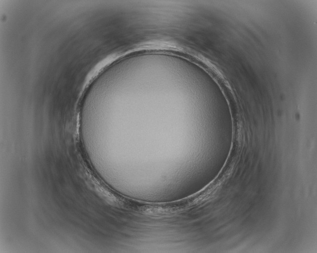 X0000085761366200703301417