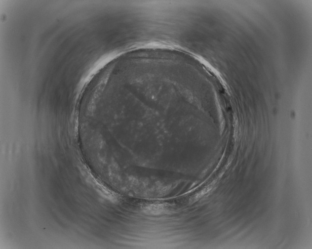 X0000085761367200703301417