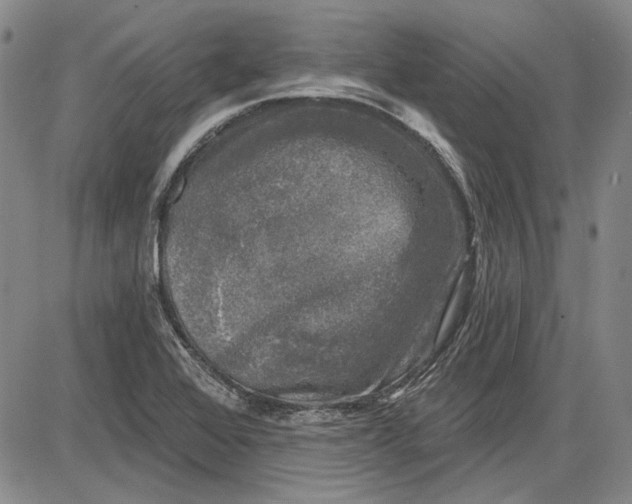X0000085761368200703301417