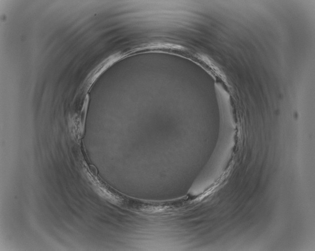 X0000085761369200703301417