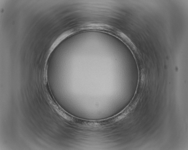 X0000085761370200703301417