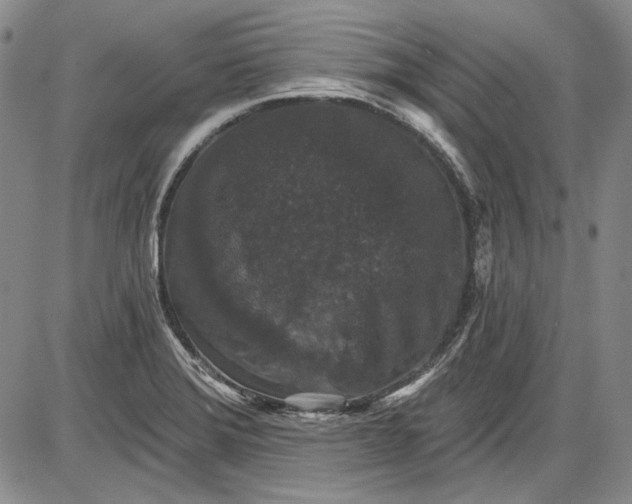 X0000085761372200703301417