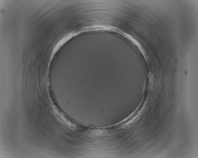 X0000085761373200703301417