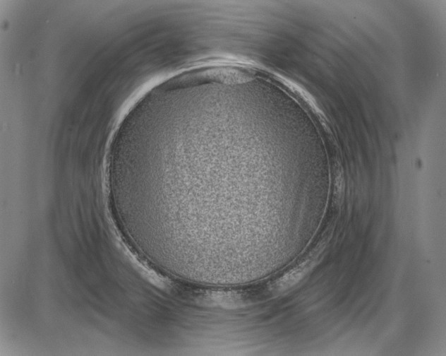 X0000085761375200703301417