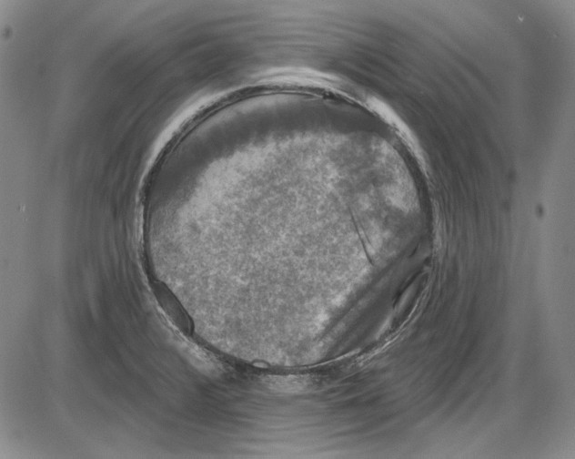 X0000085761376200703301417